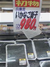 寒さがぶり返していますが・・・