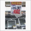 寒さがぶり返していますが・・・
