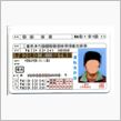 免許　更新