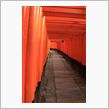 そうだ、京都行こう～２日目～
