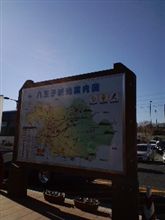 今日はぶらぶら♪