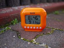 2011.306 今日の芦有　風が冷たい。。。