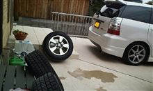 もう我慢できない