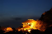 夜の偕楽園を散策