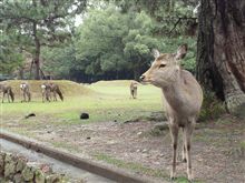 何を見てんねんな？