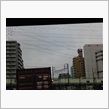 テスト走行（おなかいっぱい）