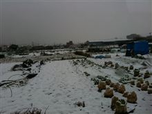 雪
