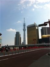 今日の新東京タワー