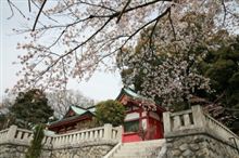 4月3日(日)足利織姫神社コスプレイベント