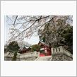 4月3日(日)足利織姫神社コ ...