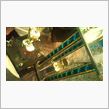 イース・セミナー２０１１♪