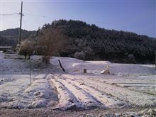 雪化粧