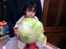 これはでかい