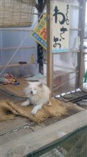 吹雪いてたんで 吹雪いてたんで