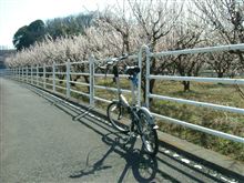 チョイ乗り！山根橋