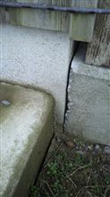 本日の生存報告20110316