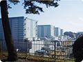 この夏はどうなるのだろうか？