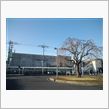 定点観測3/17(木)