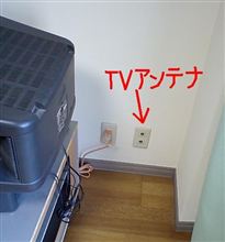 そういえば今年から私テレビ見てないんです