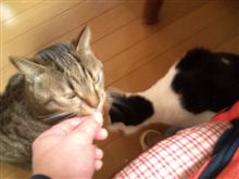 なんだかね