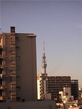 平日5日目…