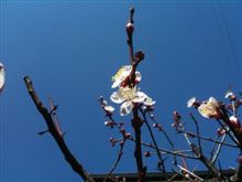 何でだろう…
