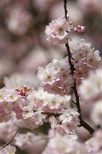 気分転換に・・