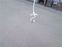甥（高卒したばかり）の釣り具