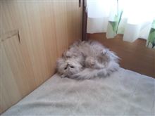 角でくるっと！