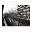 まだ！春は遠いのかなぁ～(#^.^#)