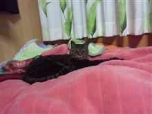 眠そうだなぁ～