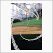 甲子園も始まったし！！！