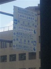 広島出没中(*&#180;艸`)