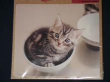 かわいい猫のマウスパッド