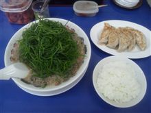 唐突かつ急な遠征