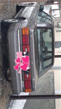 レアな日産車発見～!?