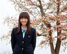 【今日の１本】　ハナミズキ