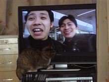 テレビと冷蔵庫の地震対策DIY
