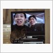 テレビと冷蔵庫の地震対策DIY