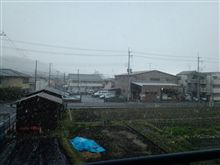 調査日なのにぃ~! 調査日なのにぃ~!