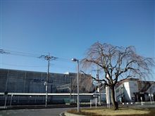 定点観測3/26(土)