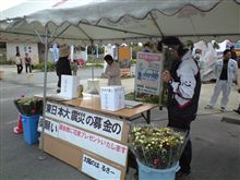 活動中