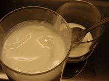 カスピ海ヨーグルト作ってみました。