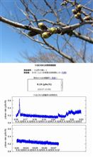 土浦周辺の現状 (3月27日-昼)