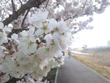 改めて、宜しくお願いします！
