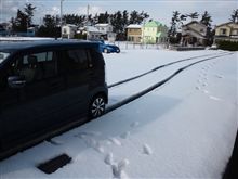え？雪!?