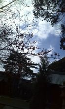 週末進行中。