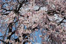 家族の時間（後編）
