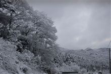 八木沢峠