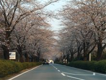 大津の